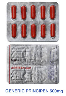 Buy Brand Ampicillin